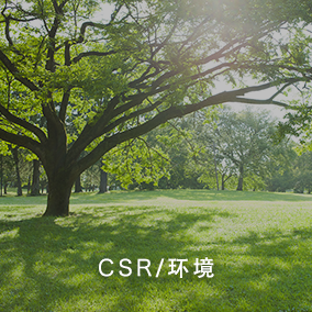 CSR/环境
