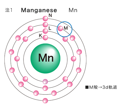 注1